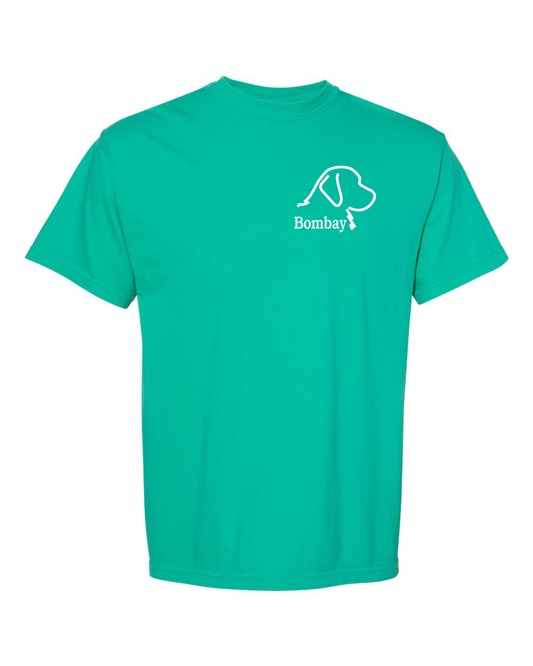 Island Green Comfort Color Short Sleeve